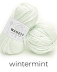Wander Acrylic Yarn Yarn FurlsCrochet Wintermint 